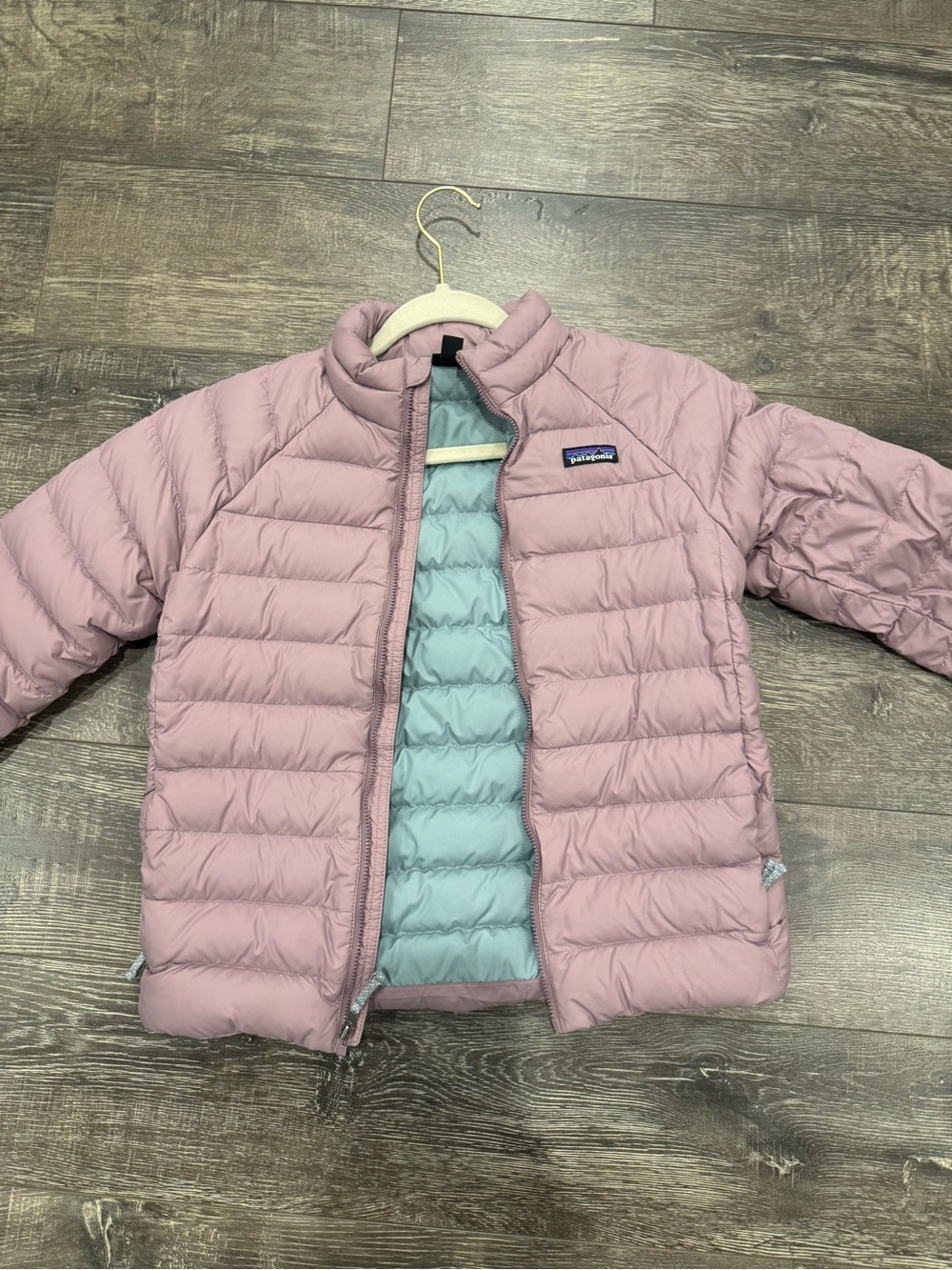 Patagonia Kids Pink Puffer Jacket with Light Teal Lining